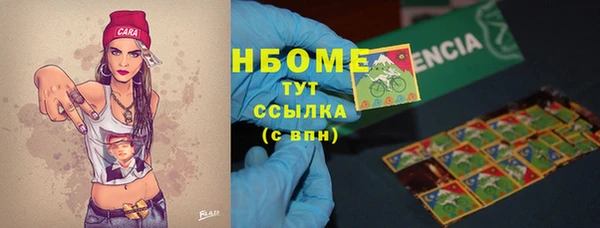 PSILOCYBIN Белокуриха