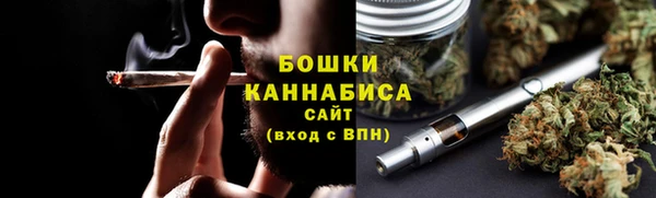 PSILOCYBIN Белокуриха