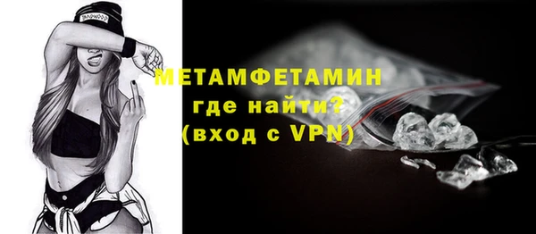 PSILOCYBIN Белокуриха