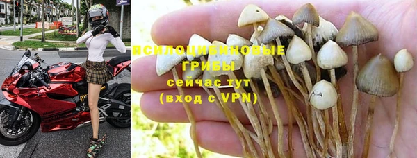 прущая мука Беломорск