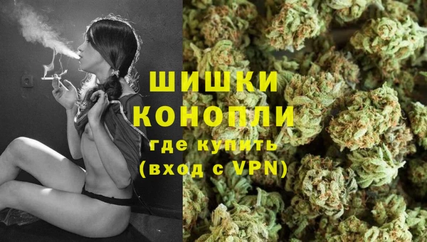 PSILOCYBIN Белокуриха