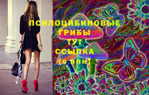 PSILOCYBIN Белокуриха