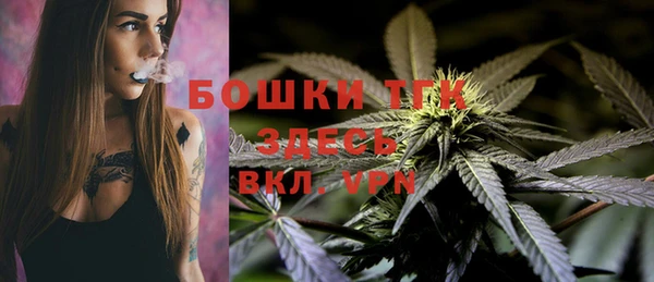 PSILOCYBIN Белокуриха