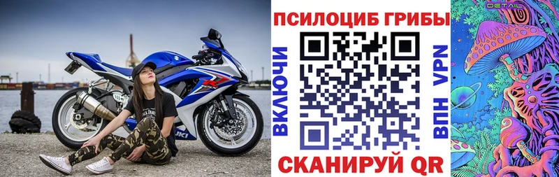 Псилоцибиновые грибы Cubensis  сколько стоит  omg tor  Боготол 
